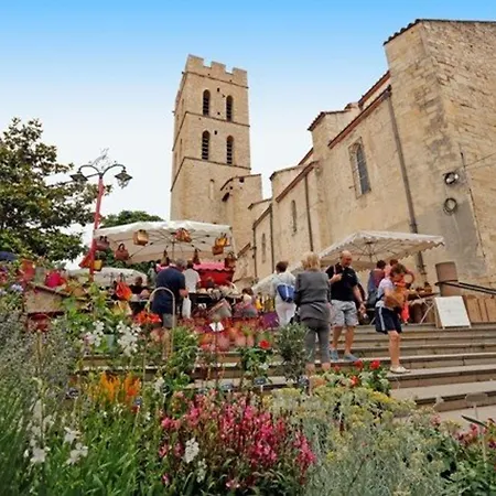 Argelès-sur-mer, 2 Pièces, 4 Personnes - Fr-1-225-209